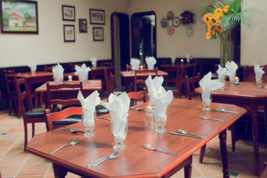 Общественное и плановое питание, гостиничный бизнес, туризм